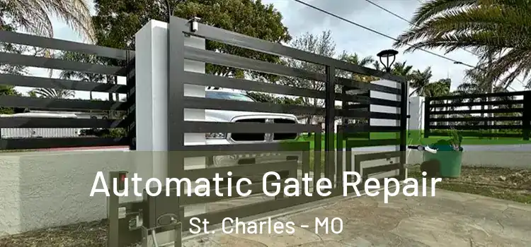 Automatic Gate Repair St. Charles - MO