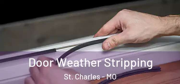 Door Weather Stripping St. Charles - MO