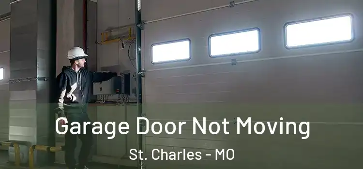  Garage Door Not Moving St. Charles - MO
