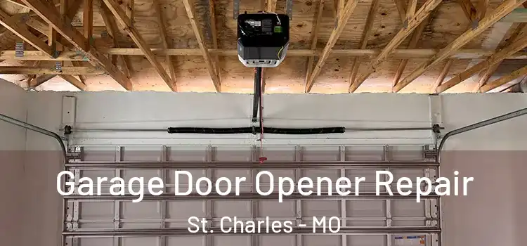  Garage Door Opener Repair St. Charles - MO