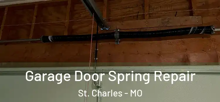  Garage Door Spring Repair St. Charles - MO