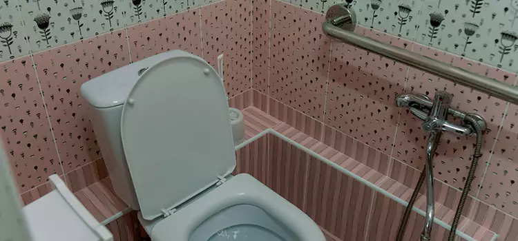 Meeting Diverse Needs With Accessible Restroom Solutions in St. Charles, MO