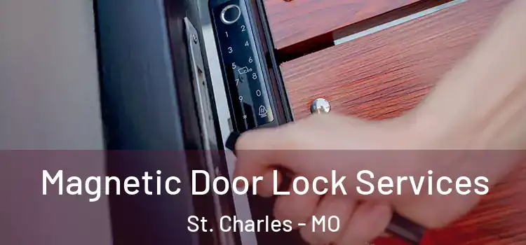 Magnetic Door Lock Services St. Charles - MO