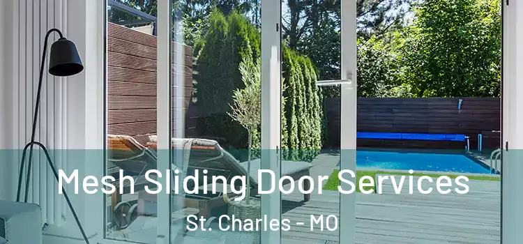  Mesh Sliding Door Services St. Charles - MO