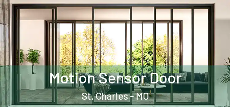 Motion Sensor Door St. Charles - MO