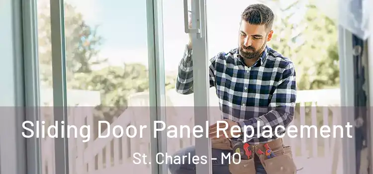  Sliding Door Panel Replacement St. Charles - MO