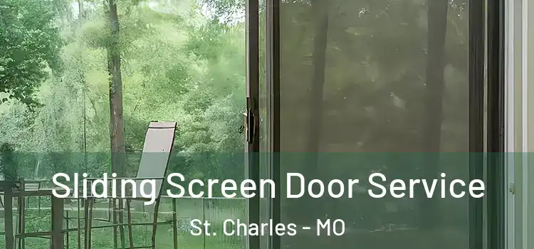 Sliding Screen Door Service St. Charles - MO